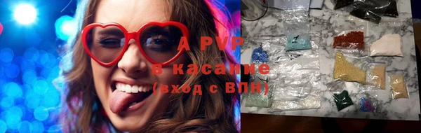 стафф Каменногорск