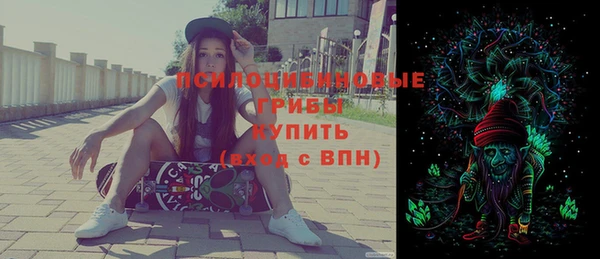 стафф Каменногорск
