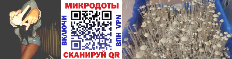 Псилоцибиновые грибы мухоморы Купить где Знаменск
